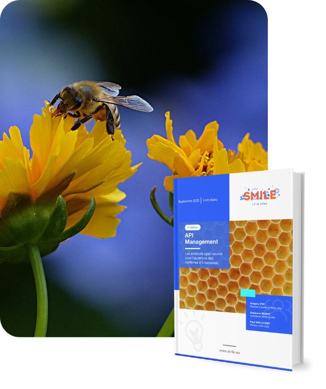 images_Livre_Blanc-API_Management_2e